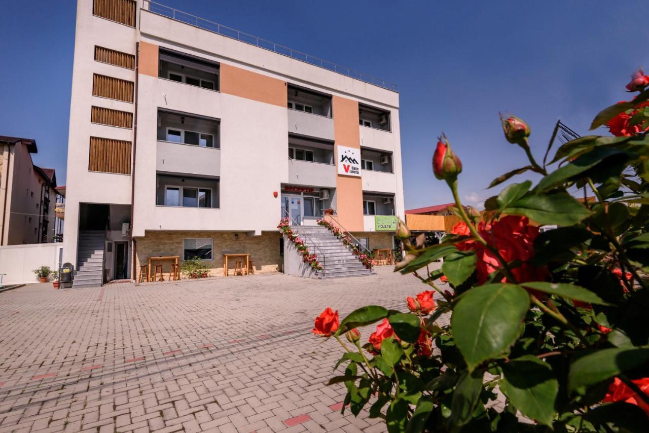 Vilele Violeta Нэводари Экстерьер фото